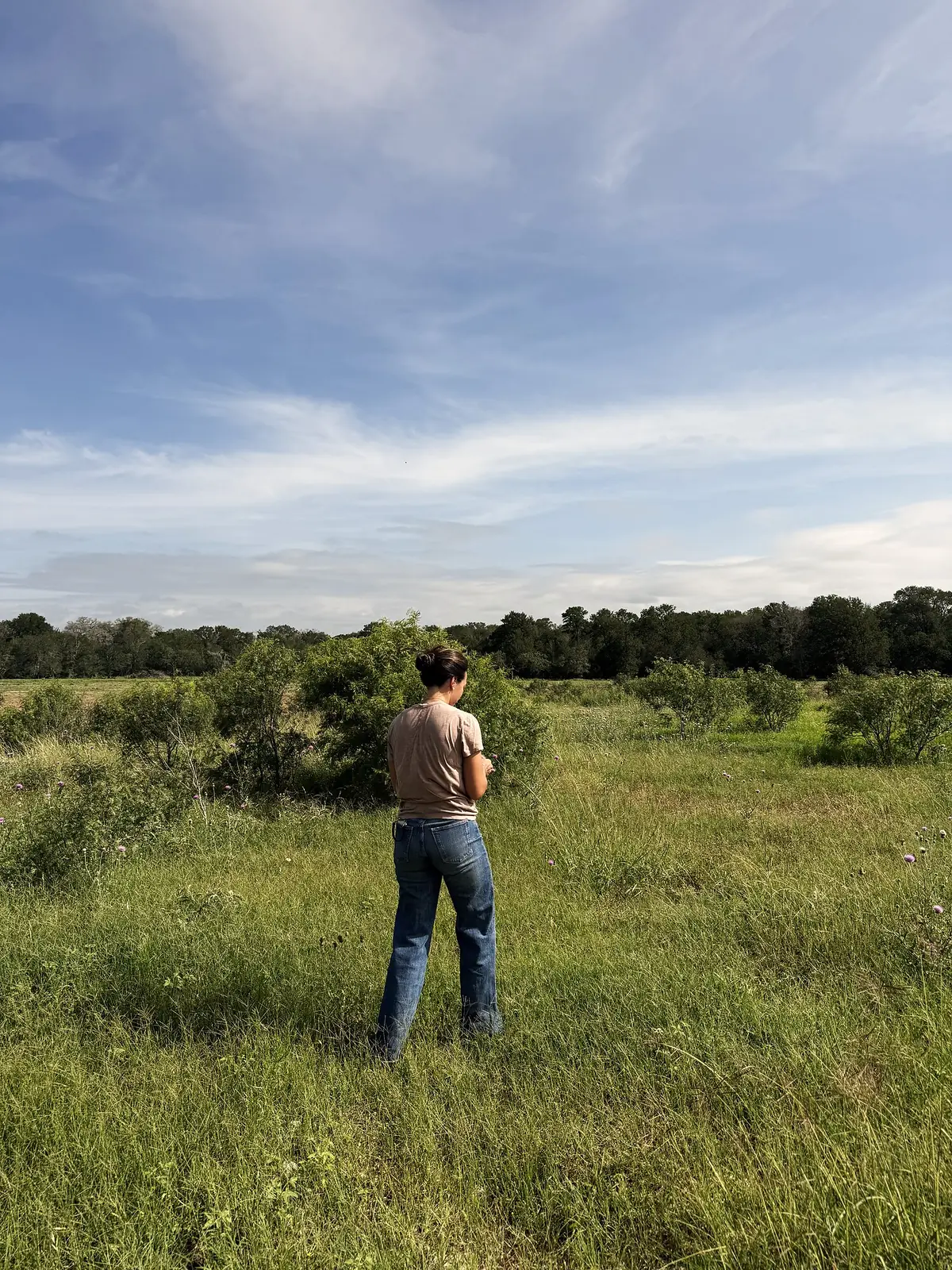 A person standing in tall grass on open pasture, trees behind